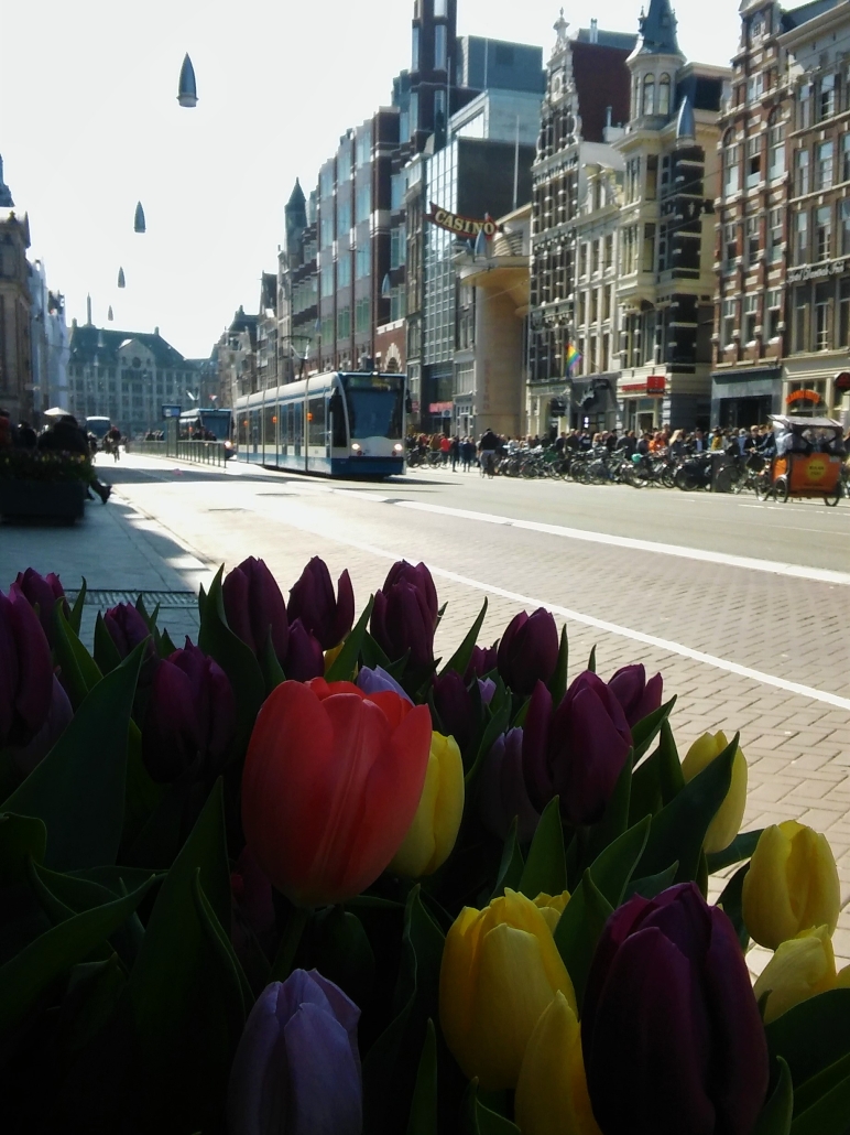 Amsterdam tulpenfestival