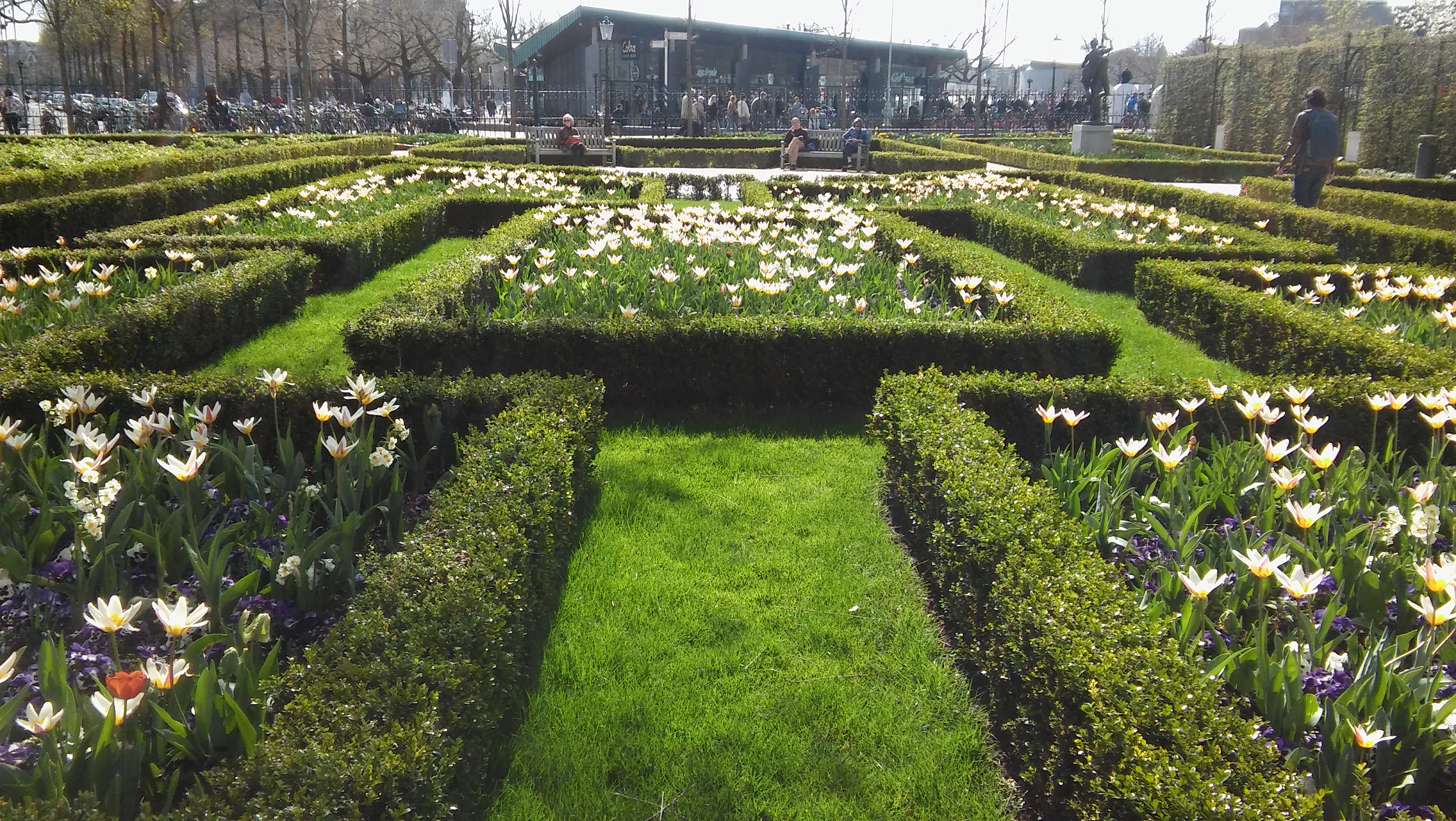 Ook in de tuin bij het Rijksmuseum staan de tulpen er mooi bij!