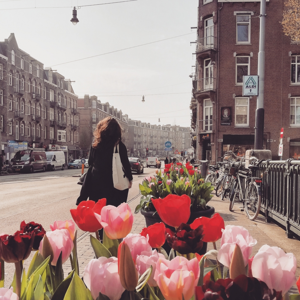 tulpen Amsterdam maart